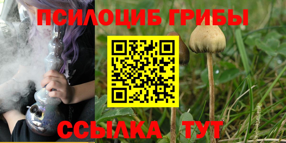 Галлюциногенные грибы MAGIC MUSHROOMS  Вход с VPN  Татарск 